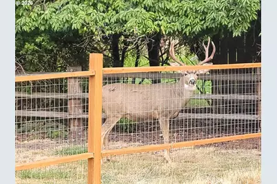 293 E Ivy Ln, Union, OR 97883 - Photo 35