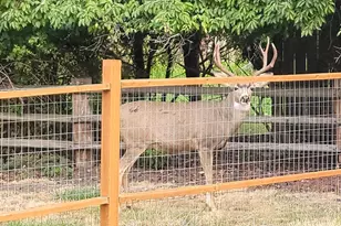293 E Ivy Ln, Union, OR 97883 - Photo 35