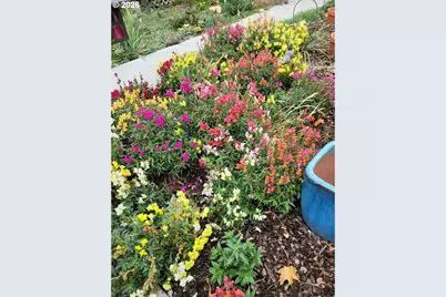 293 E Ivy Ln, Union, OR 97883 - Photo 37