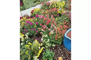 293 E Ivy Ln, Union, OR 97883 - Photo 37