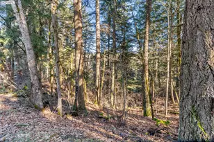 32 Hamilton Ave, Underwood, WA 98651 - Photo 33