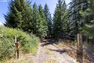 82 Meadows Loop, Lyle, WA 98635 - Photo 37