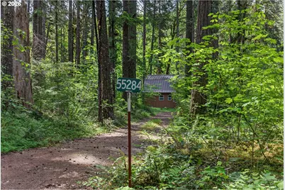 55284 Delta Rd, Blue River, OR 97413 - Photo 47