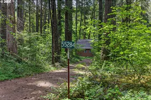55284 Delta Rd, Blue River, OR 97413 - Photo 47