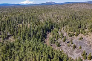 10 Piper Ln, Goldendale, WA 98620 - Photo 1