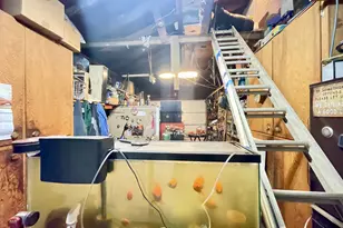 328 Spruce Dr Dr, Brookings, OR 97415 - Photo 19