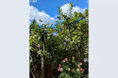 9700 SW Tualatin Rd #5, Tualatin, OR 97062 - Photo 37