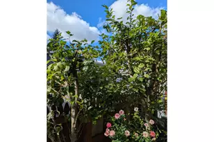 9700 SW Tualatin Rd, Tualatin, OR 97062 - Photo 37