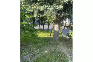 5660 Daisy St, Springfield, OR 97478 - Photo 15