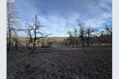 Piney Woods, Goldendale, WA 98620 - Photo 3