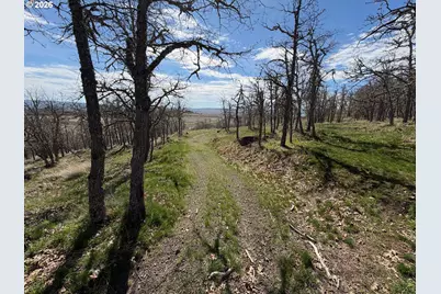 3 Trevor Rd, Goldendale, WA 98620 - Photo 9