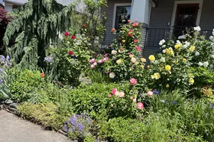 1924 NE 47th Ave, Portland, OR 97213 - Photo 43