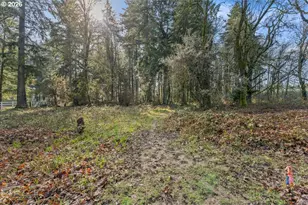 6786 Rochester St, Salem, OR 97305 - Photo 47