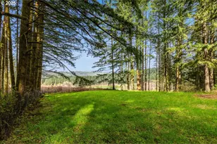 14041 NW Mason Hill Rd, North Plains, OR 97133 - Photo 43