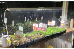 1605 Valley Ave, Baker City, OR 97814 - Photo 15