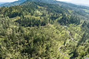 Oakshire Dr, Springfield, OR 97478 - Photo 11