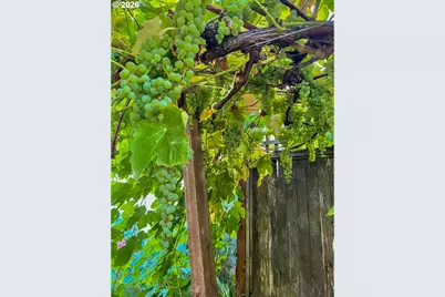 240 W Jefferson St, Carlton, OR 97111 - Photo 23