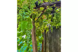 240 W Jefferson St, Carlton, OR 97111 - Photo 23