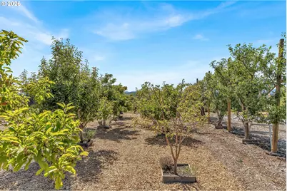 13790 SW Lambert Ln, Gaston, OR 97119 - Photo 39
