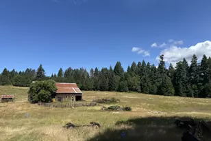 77220 Bar B L Ranch Rd, Westfir, OR 97492 - Photo 23