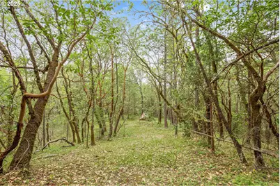 Redwood Hwy, Grants Pass, OR 97527 - Photo 15