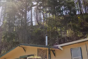 49545 McKenzie Hwy, Vida, OR 97488 - Photo 5