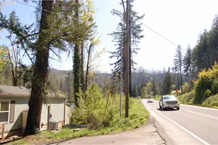 49545 McKenzie Hwy, Vida, OR 97488 - Photo 9