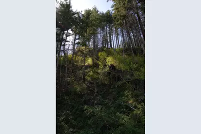 49545 McKenzie Hwy, Vida, OR 97488 - Photo 7