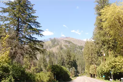 49545 McKenzie Hwy, Vida, OR 97488 - Photo 13