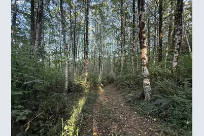 70407 Schumacher Rd, Rainier, OR 97048 - Photo 37