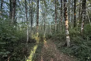 70407 Schumacher Rd, Rainier, OR 97048 - Photo 37