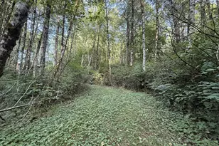 70407 Schumacher Rd, Rainier, OR 97048 - Photo 35