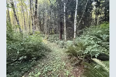 70407 Schumacher Rd, Rainier, OR 97048 - Photo 39