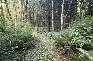 70407 Schumacher Rd, Rainier, OR 97048 - Photo 39