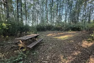 70407 Schumacher Rd, Rainier, OR 97048 - Photo 35