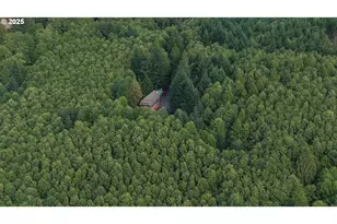 70407 Schumacher Rd, Rainier, OR 97048 - Photo 45