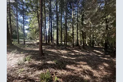 Summerbell Dr #Lot 7, Florence, OR 97439 - Photo 13