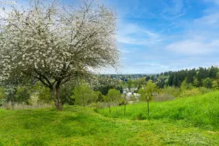 351 Butte Hill Rd, Woodland, WA 98674 - Photo 39
