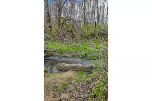 21542 Hwy 126, Noti, OR 97461 - Photo 7