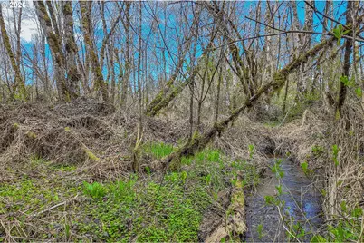 21542 Highway 126 #1, Noti, OR 97461 - Photo 11
