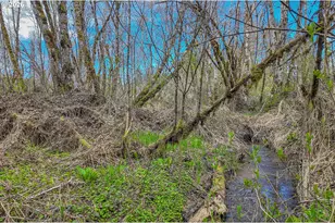 21542 Hwy 126, Noti, OR 97461 - Photo 11