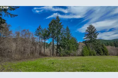 21542 Highway 126, Noti, OR 97461 - Photo 5