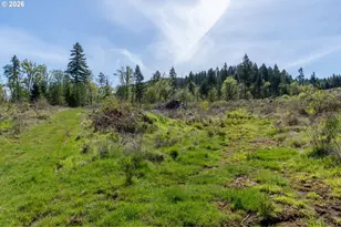 21542 Hwy 126, Noti, OR 97461 - Photo 9