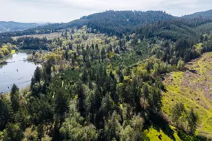 21542 Hwy 126, Noti, OR 97461 - Photo 27
