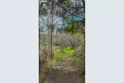 21542 Highway 126, Noti, OR 97461 - Photo 11