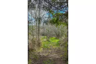 21542 Hwy 126, Noti, OR 97461 - Photo 11