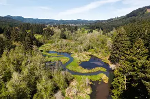 21542 Hwy 126, Noti, OR 97461 - Photo 29
