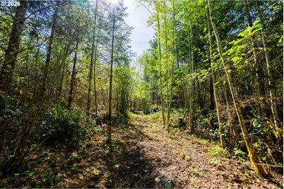 21542 Highway 126 #1, Noti, OR 97461 - Photo 7