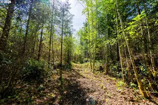 21542 Hwy 126, Noti, OR 97461 - Photo 7