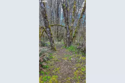 21542 Highway 126, Noti, OR 97461 - Photo 9